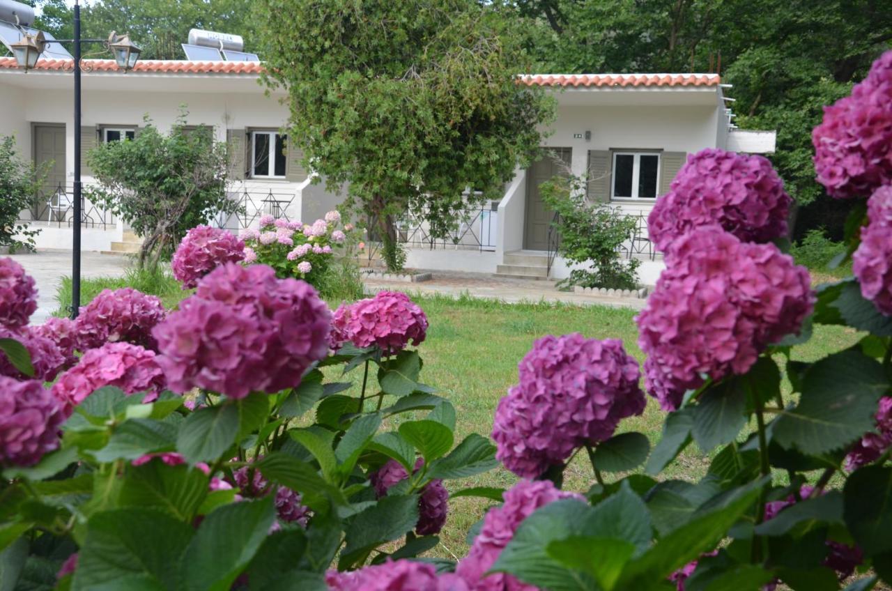Elizabeth Studios Platanias  Kültér fotó